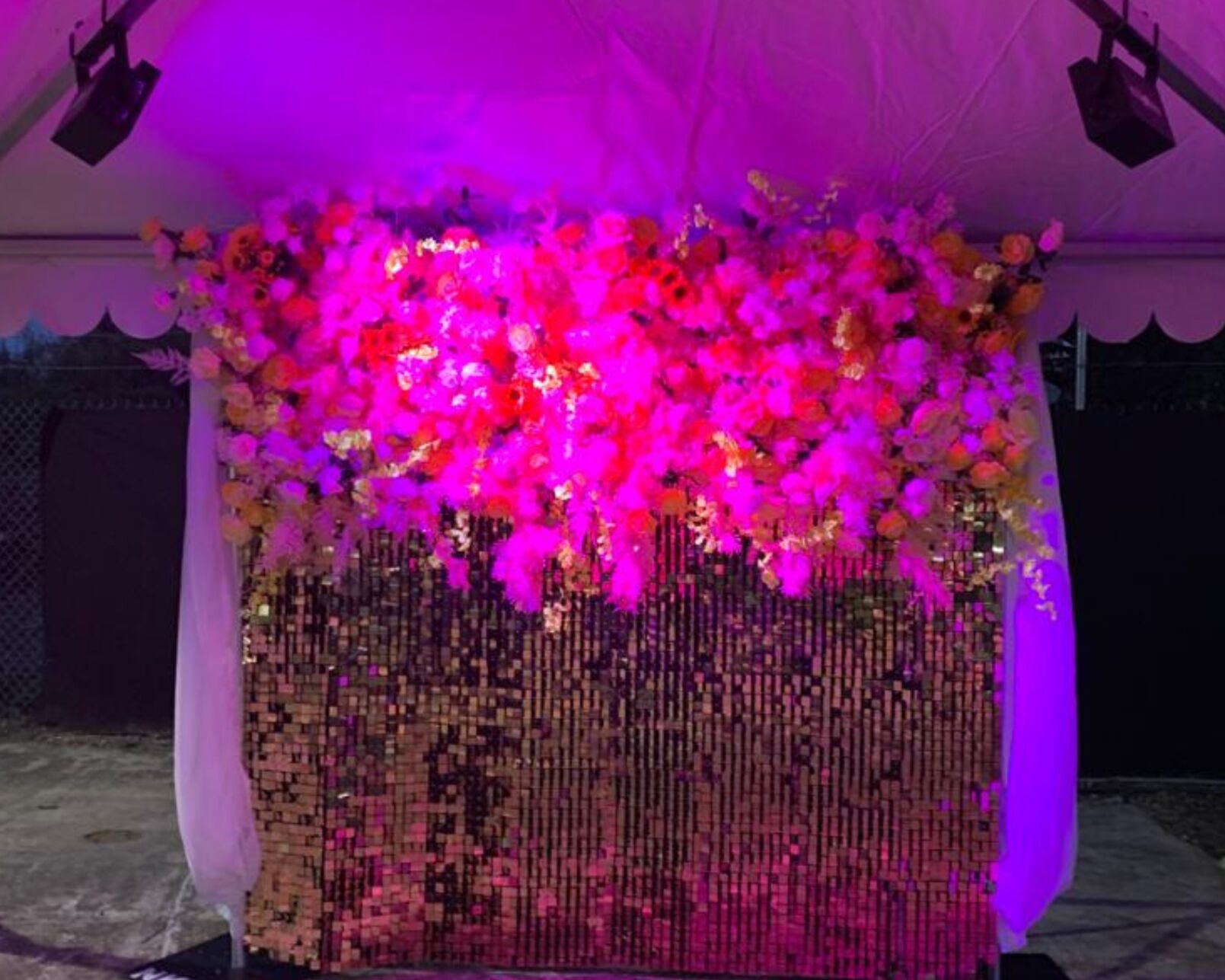 BLOOM electronic music festival lights up Veterans Day weekend